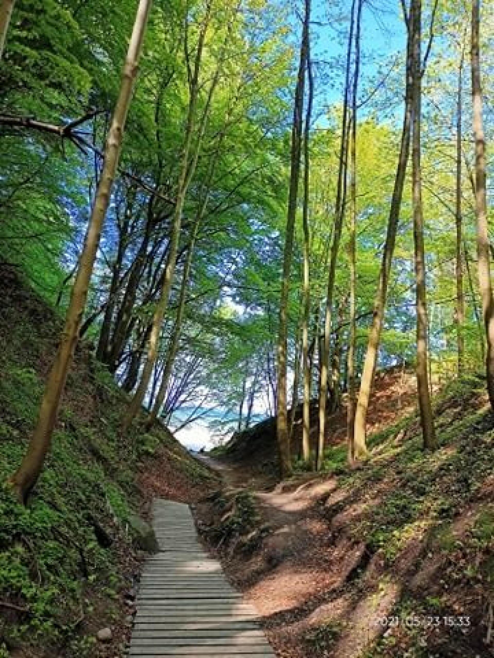 Domek Letniskowy JUSTYNA