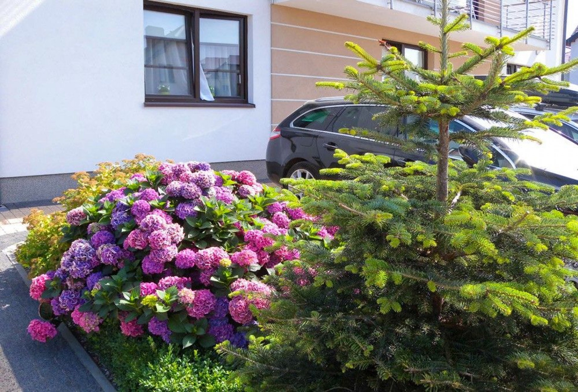 WILLA PÓŁNOCNA II (Willa RYSIA)