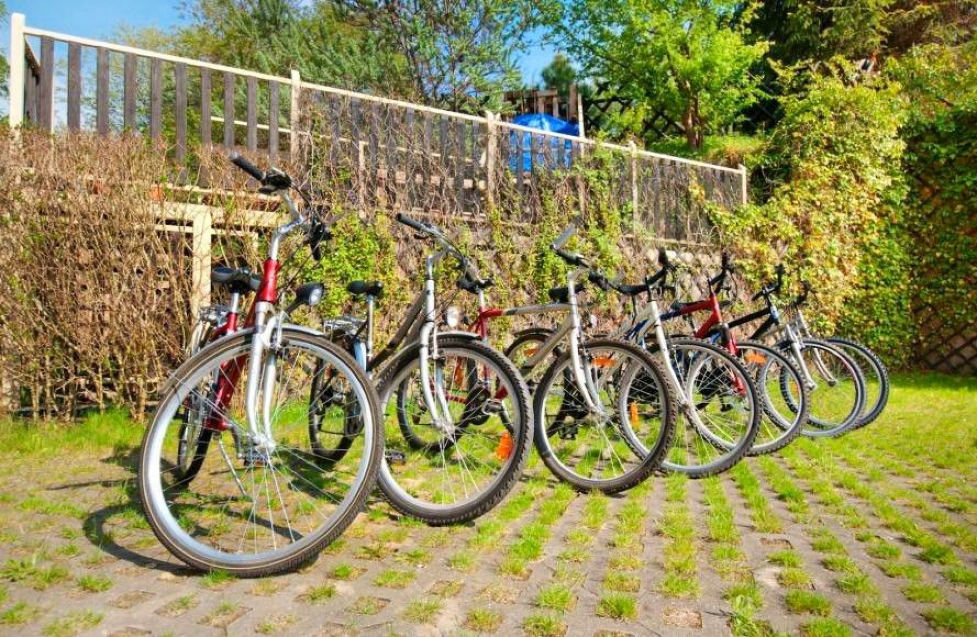 Dom Wypoczynkowy ARKA