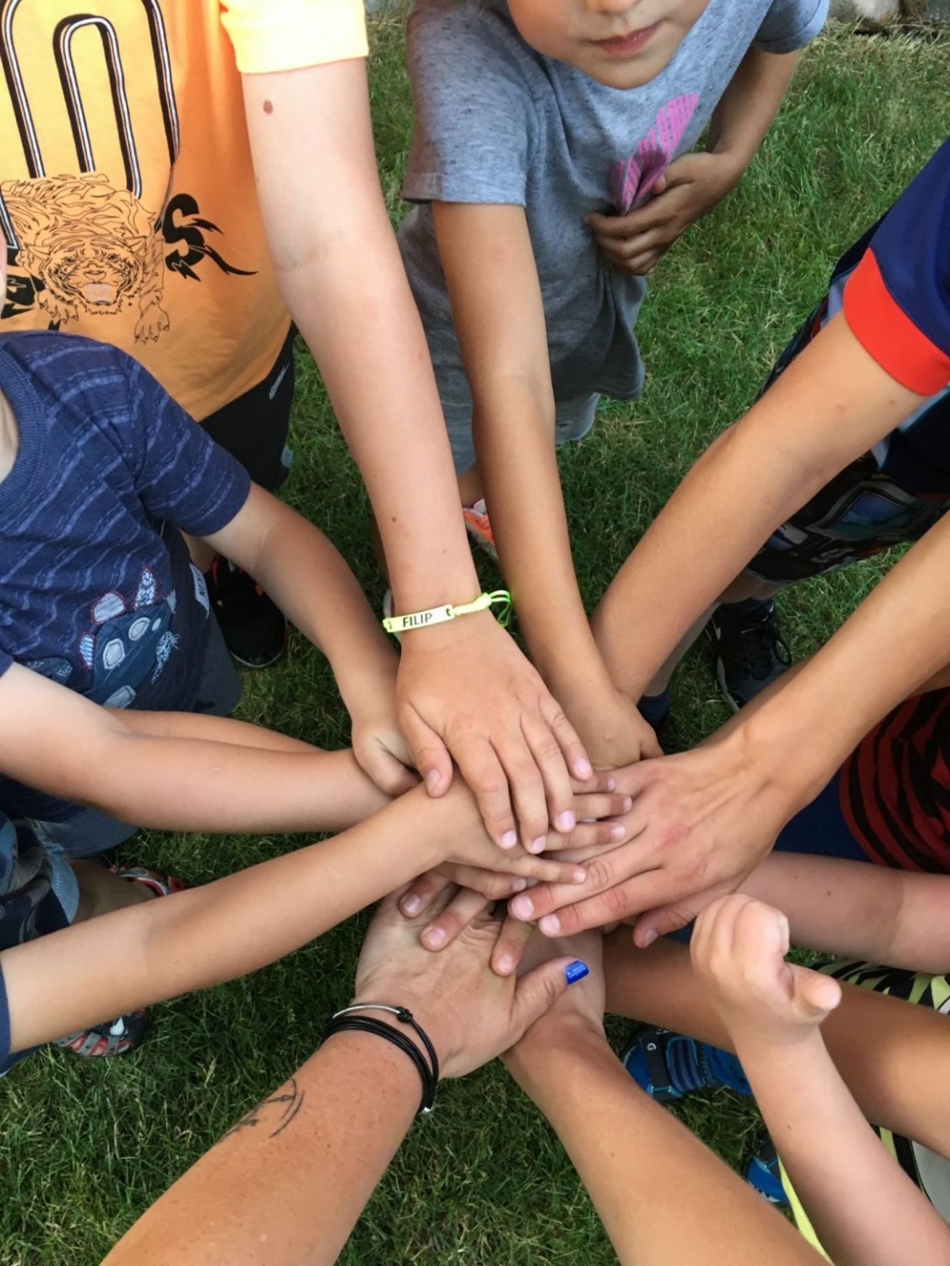 Domki letniskowe Kolorowe Domki