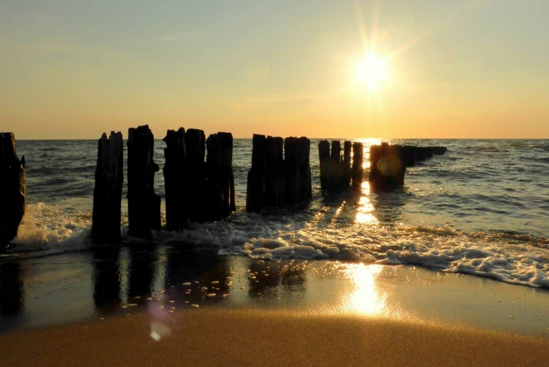 Domki apartamentowe BUENO