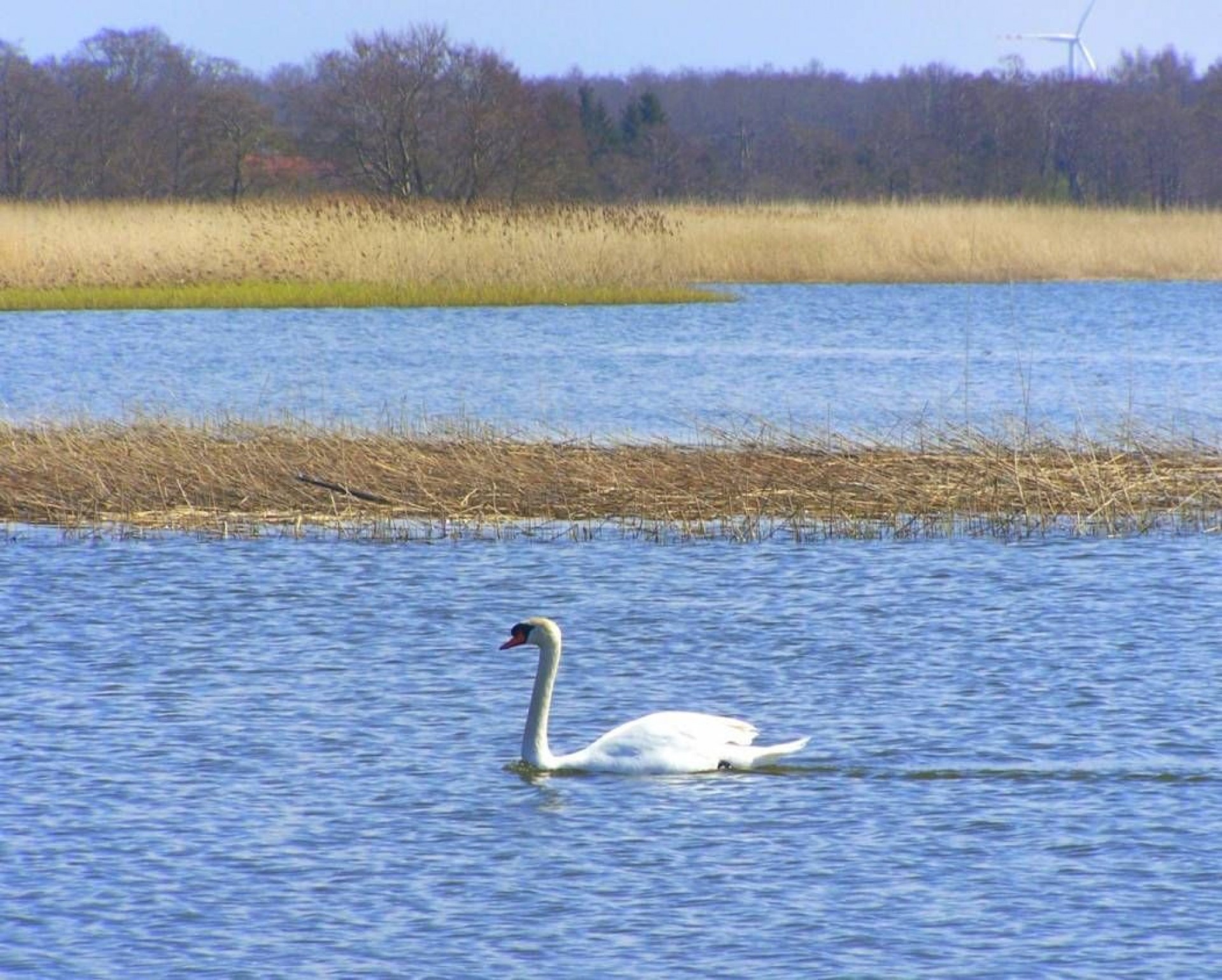 Domki apartamentowe BUENO