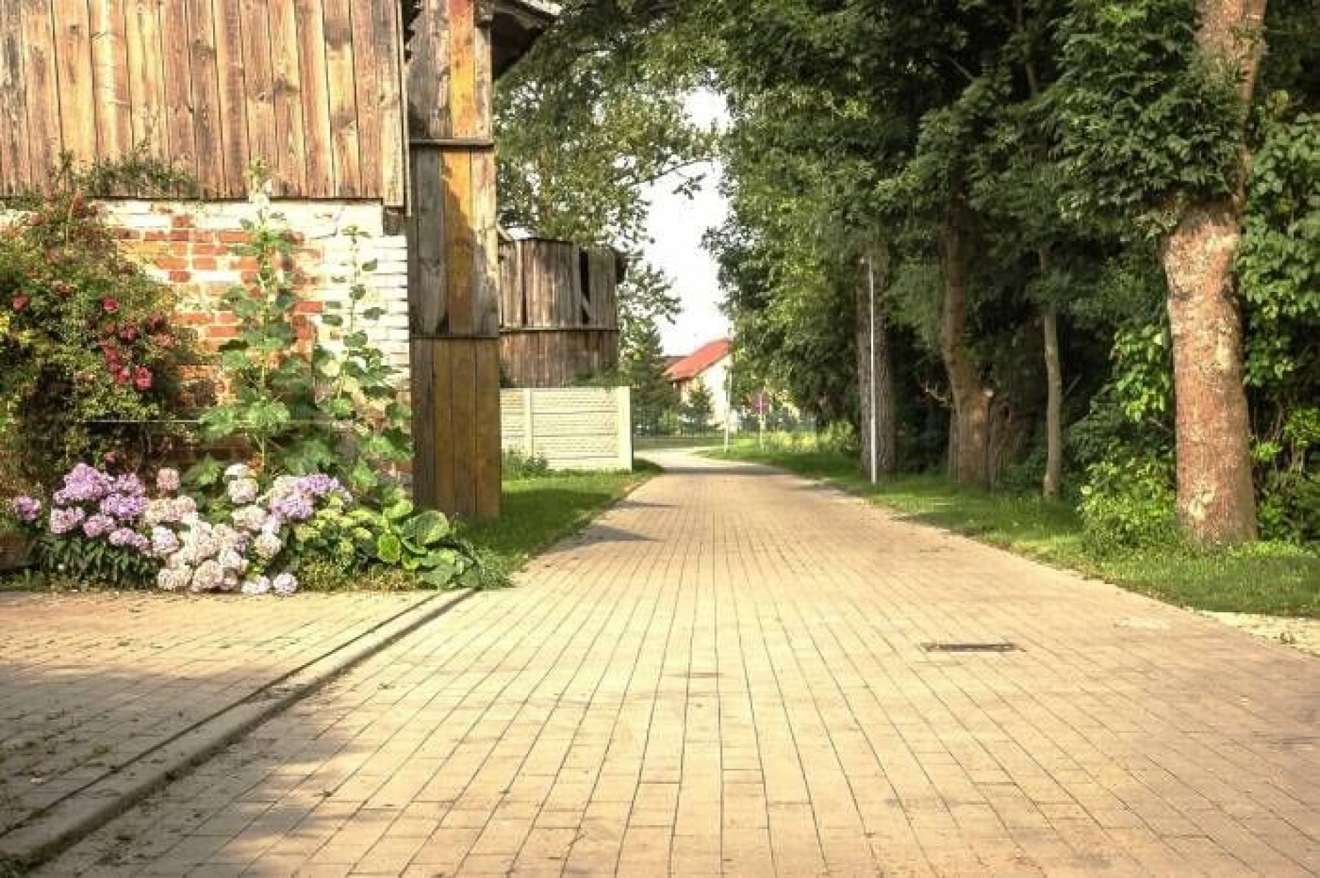 Domki NADMORSKA OAZA