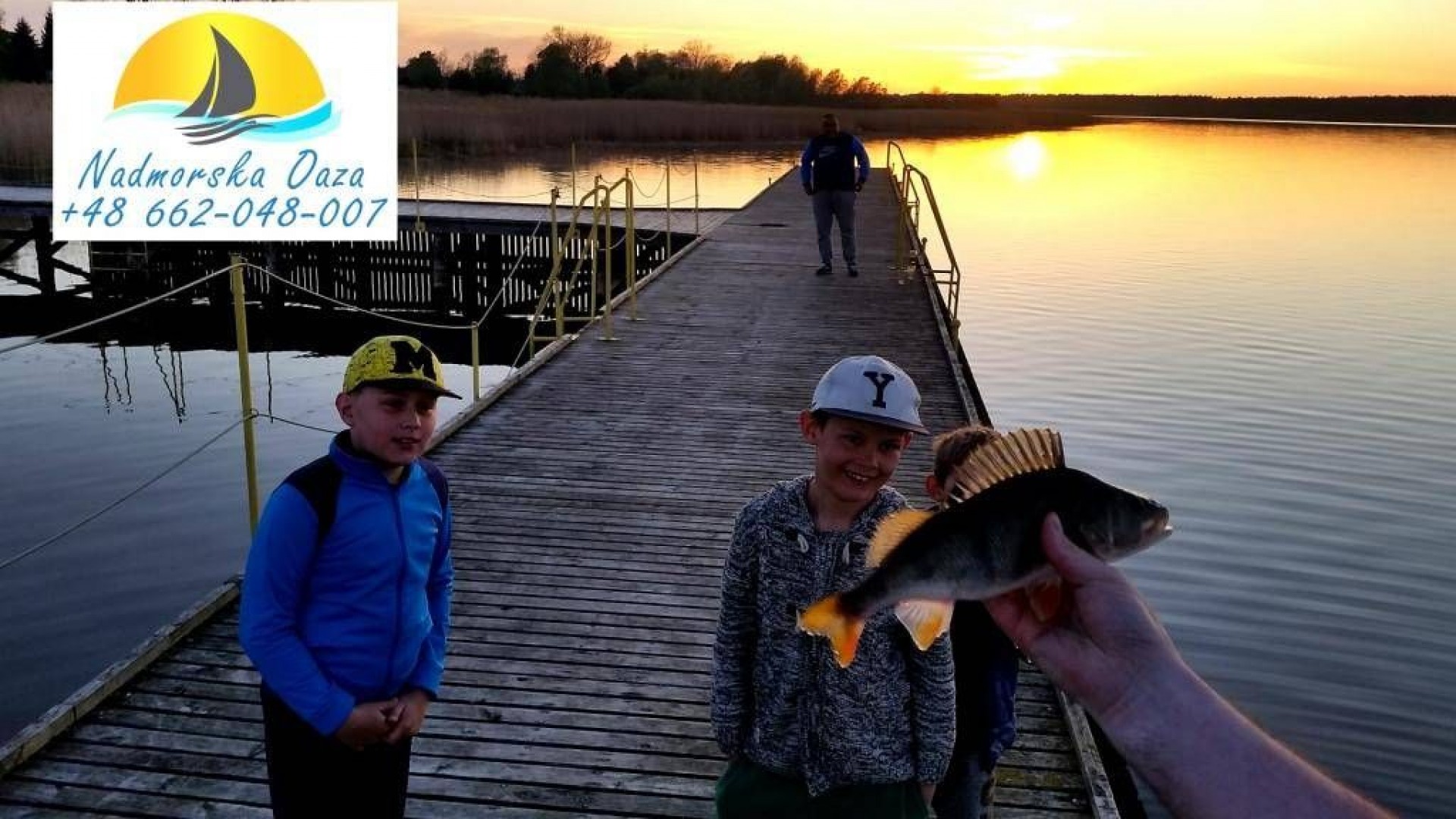 Domki NADMORSKA OAZA