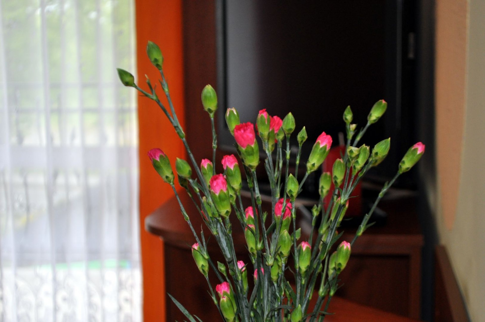 Dom Wypoczynkowy KLIWER