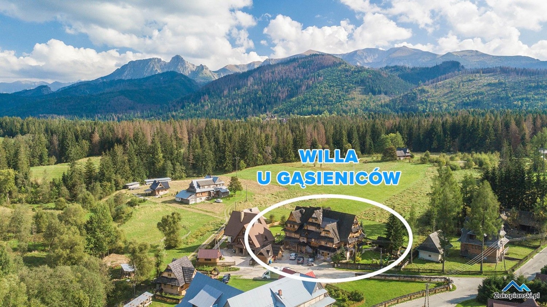 u Gąsieniców