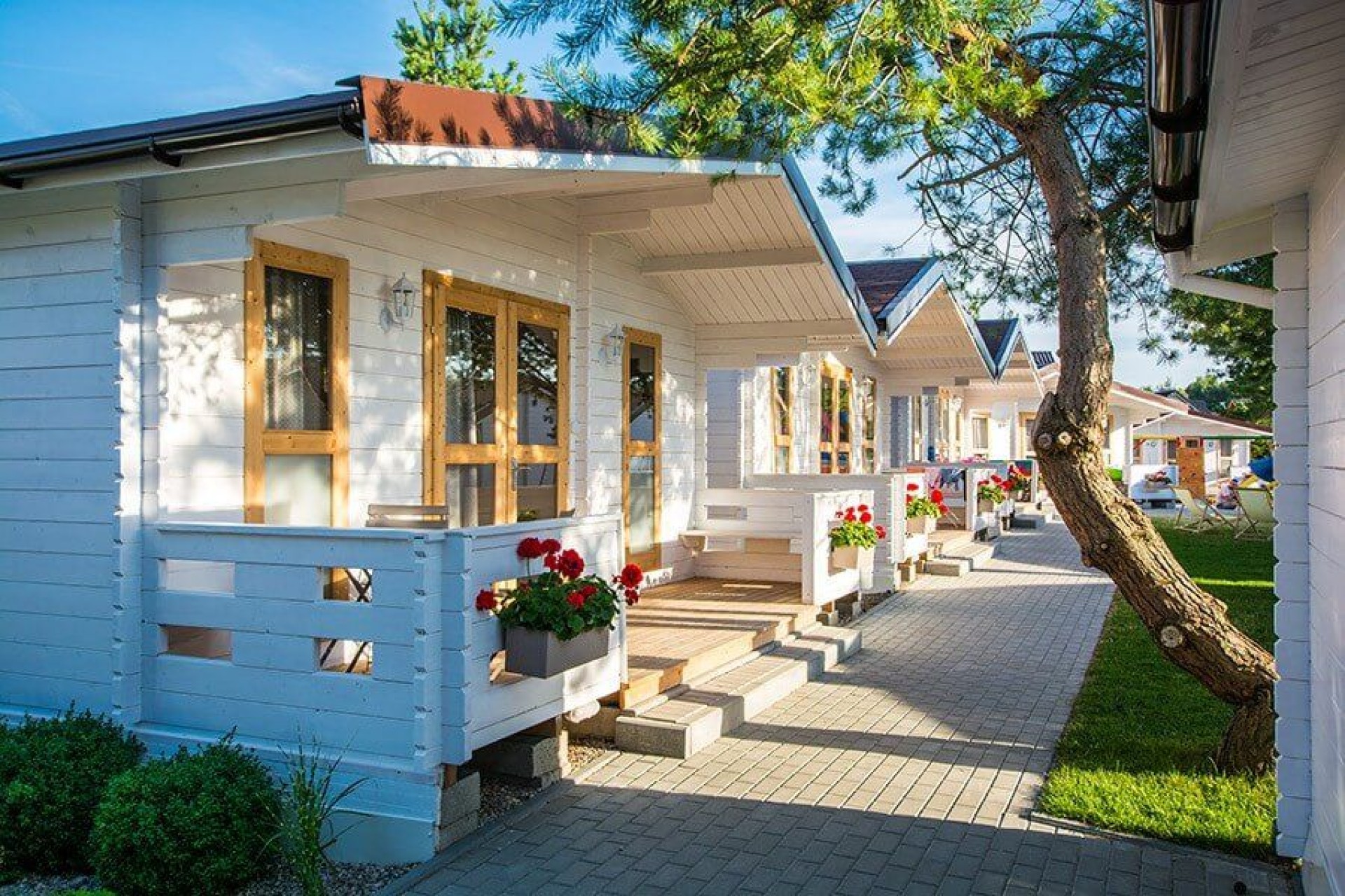 Apartamenty i Domki letniskowe BINGO