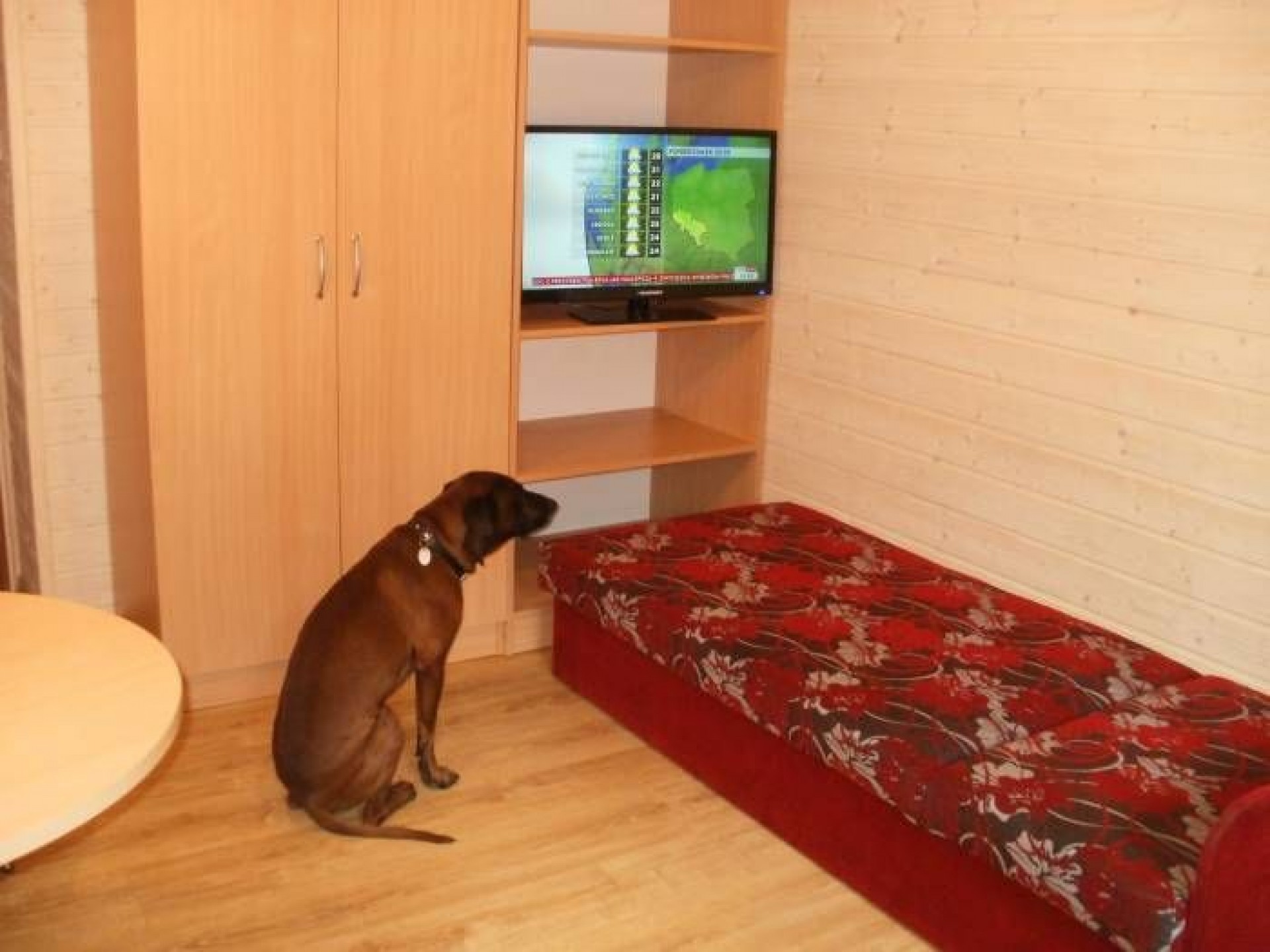 Domki Letniskowe BLISKO MORZA - 100m od plaży