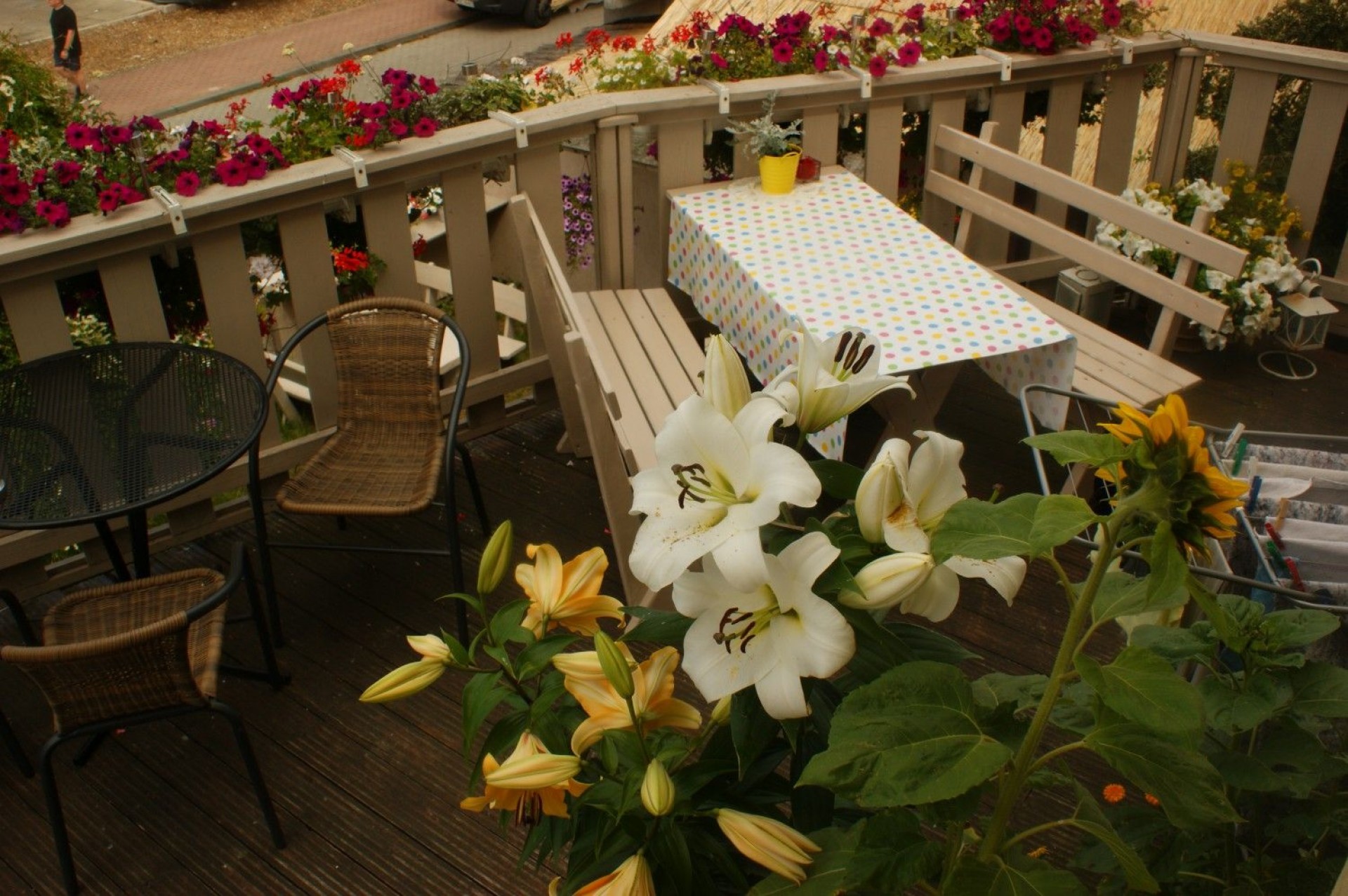 Pokoje Gościnne LIMBA