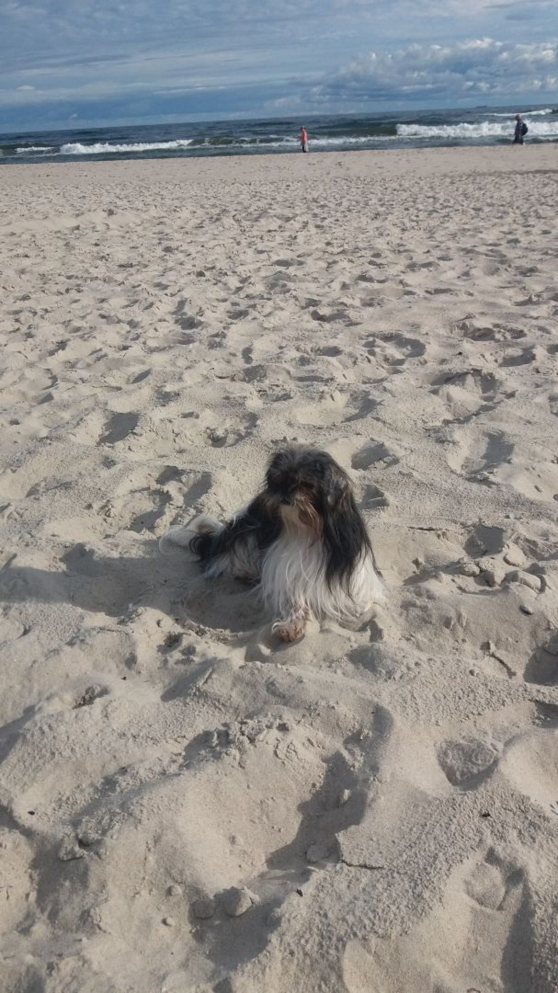 Pokoje Gościnne LIMBA