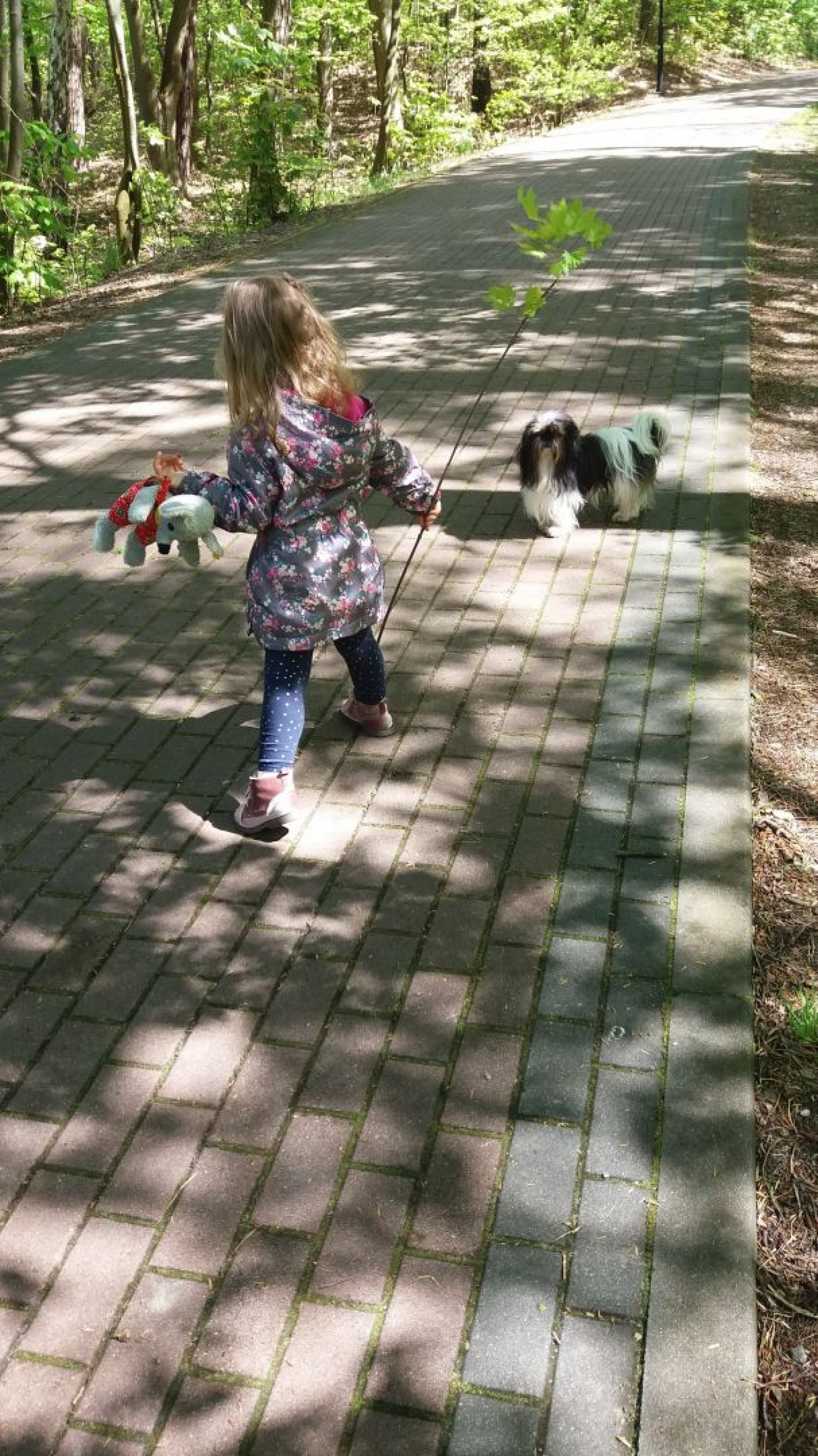 Pokoje Gościnne LIMBA