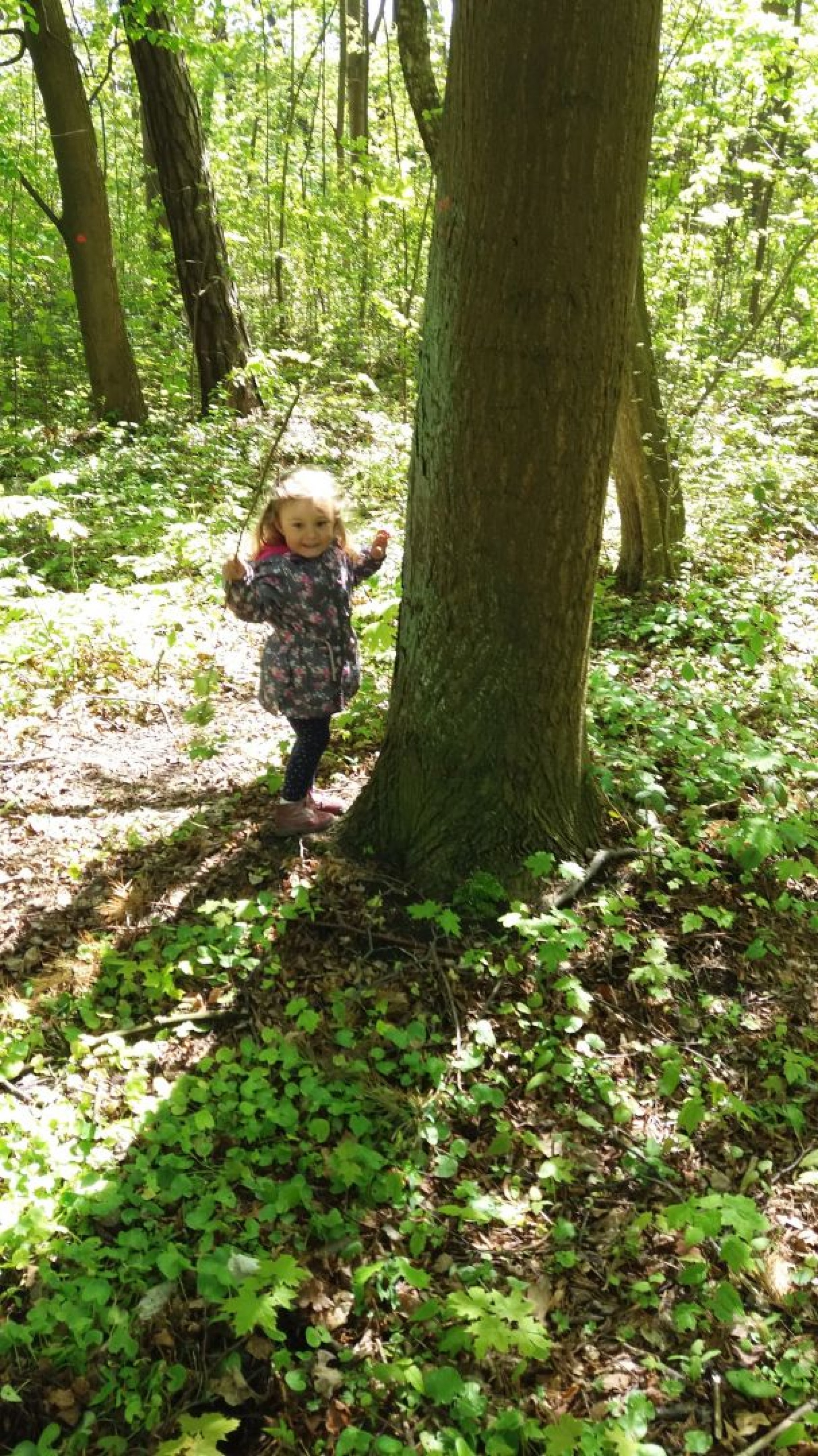Pokoje Gościnne LIMBA