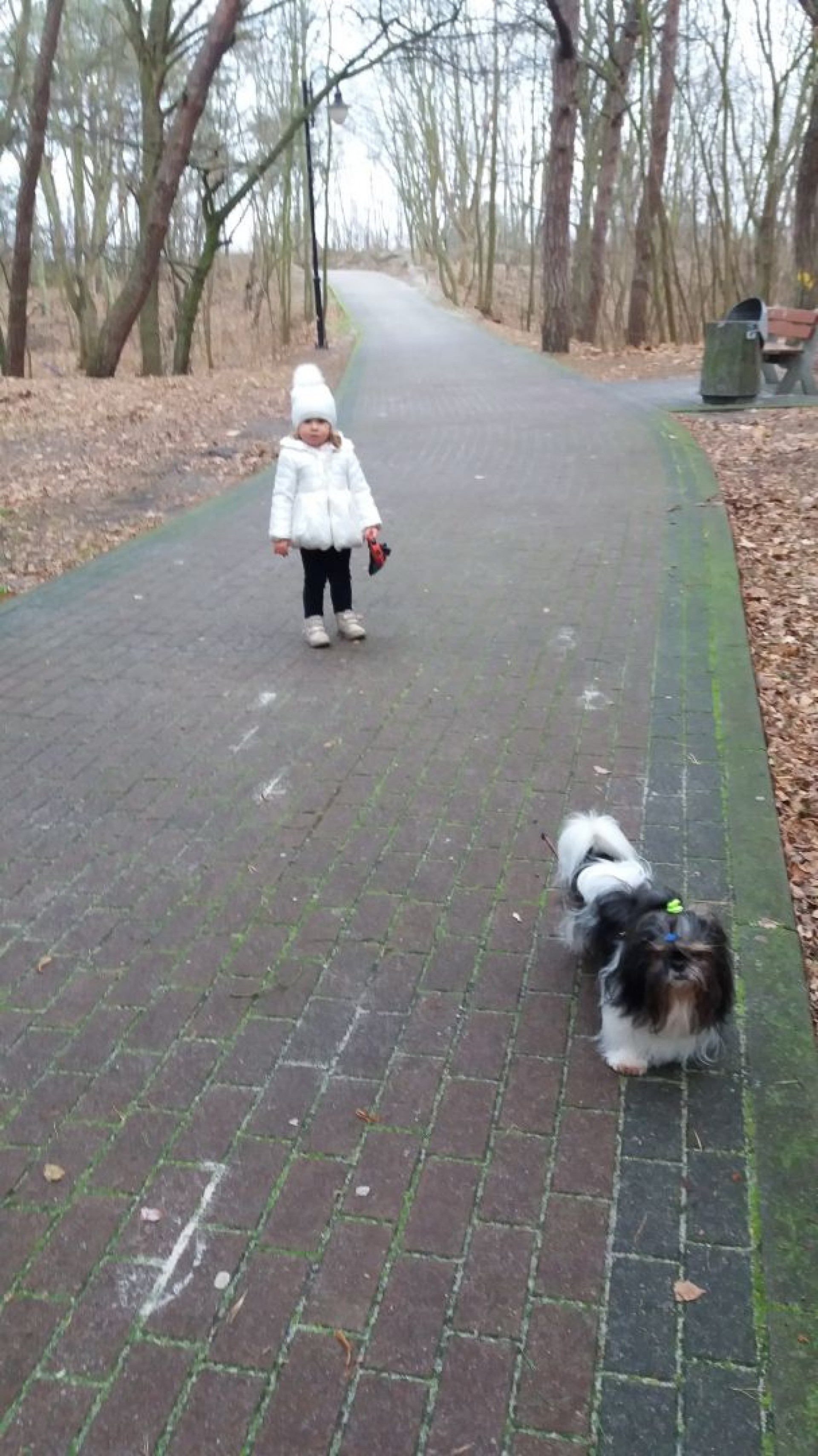 Pokoje Gościnne LIMBA