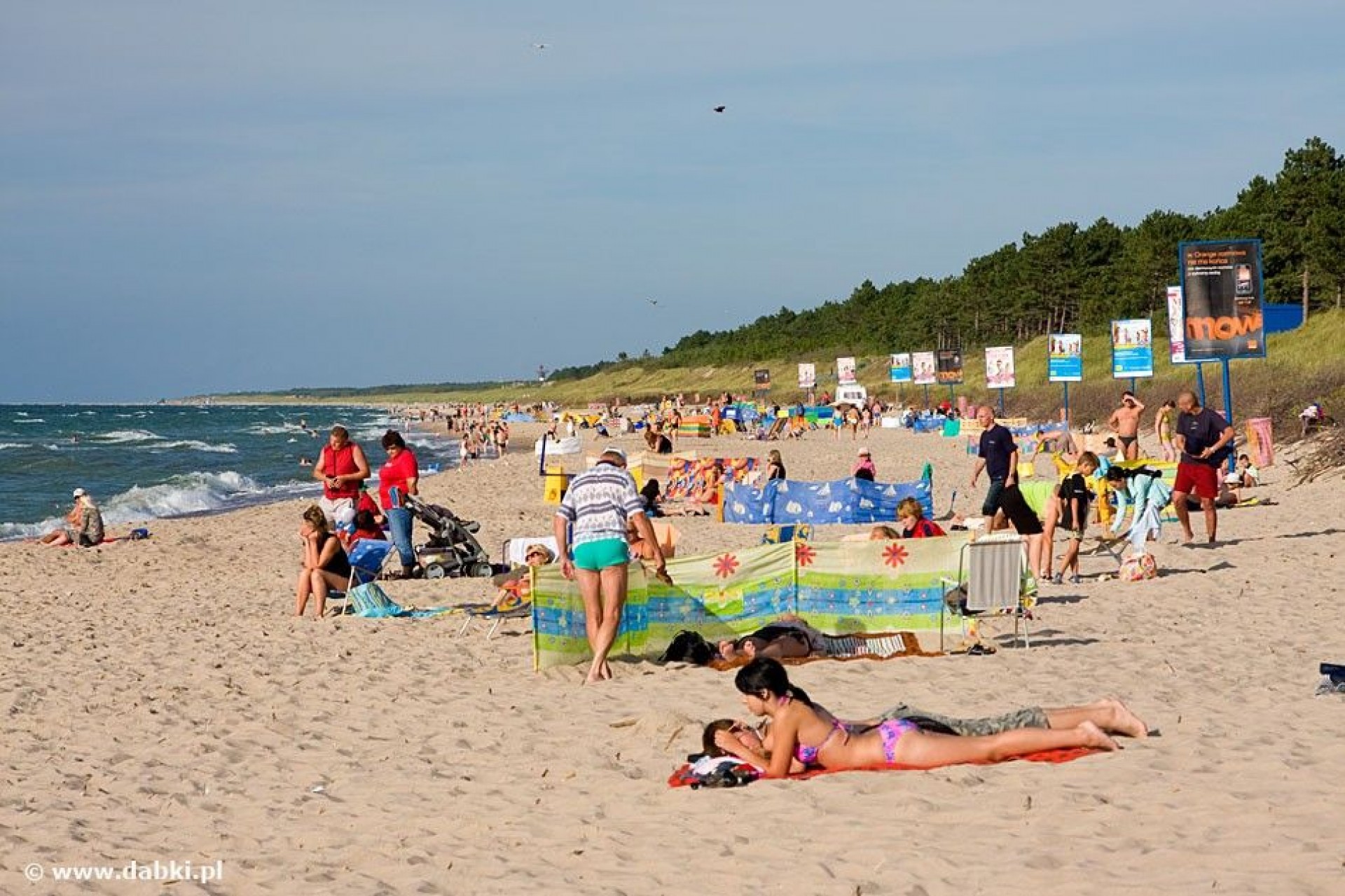 Pole Namiotowe i Campingowe LUKA