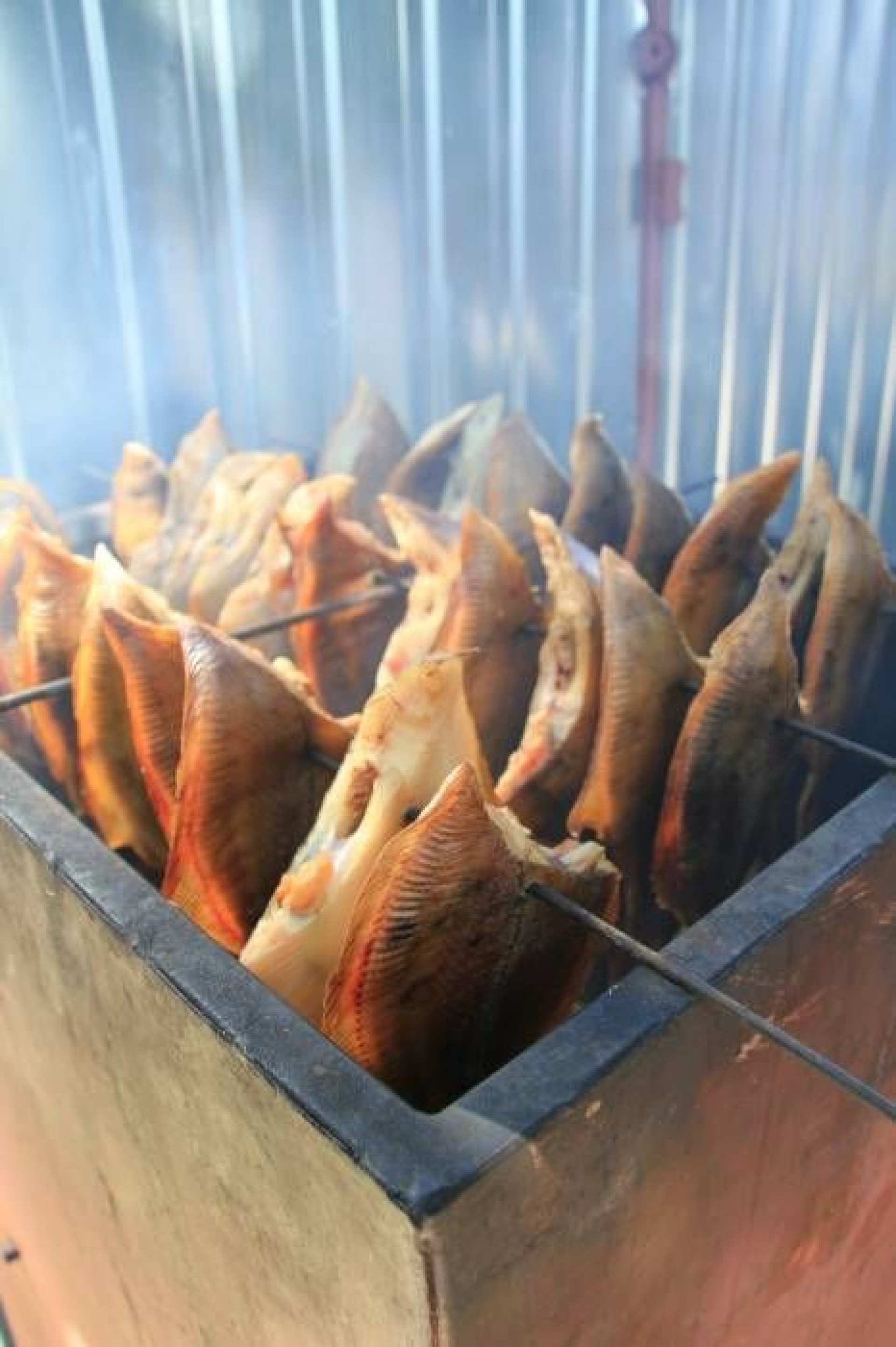 Pokoje Gościnne POD DĘBAMI