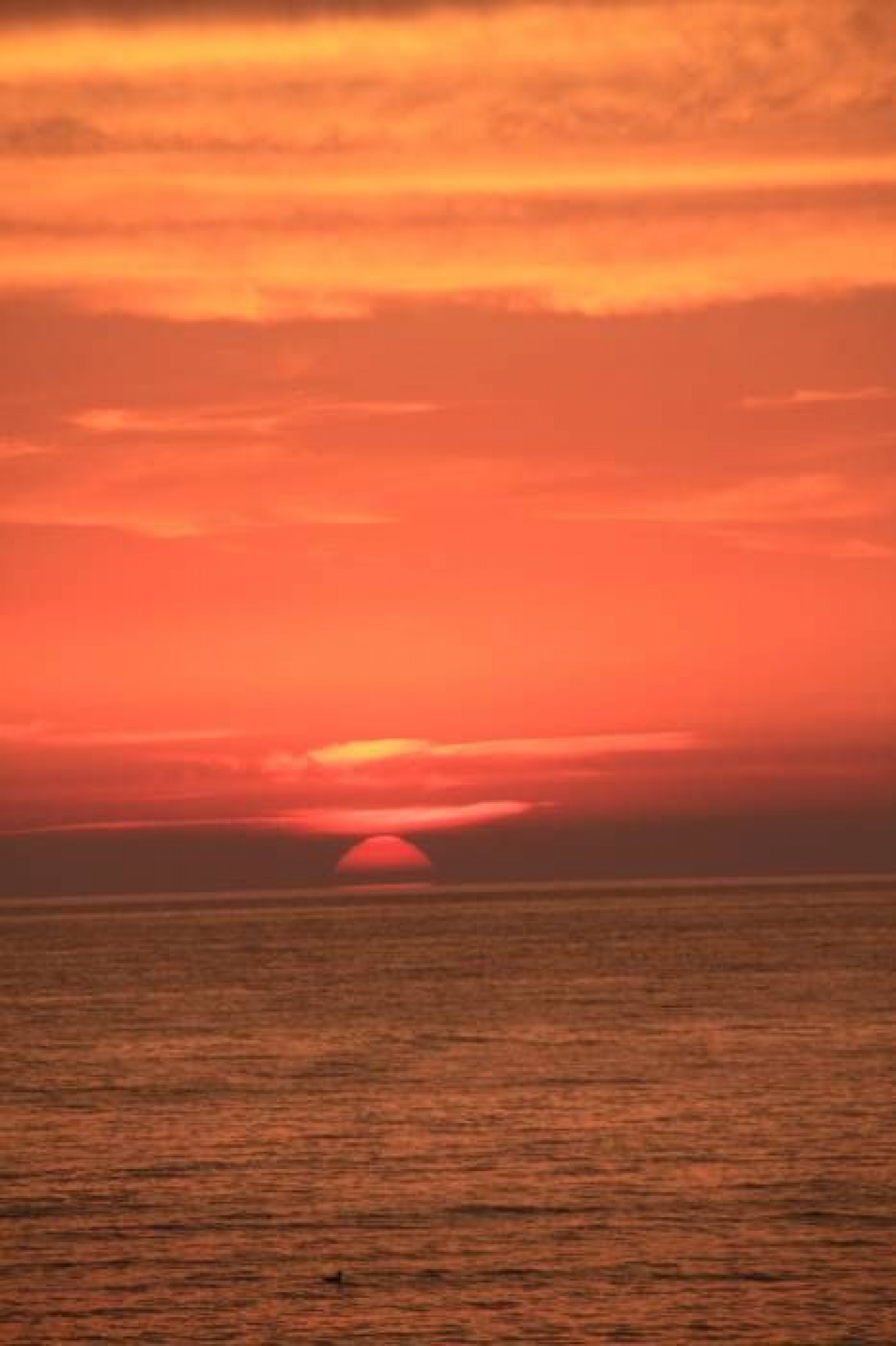 Pokoje Gościnne POD DĘBAMI