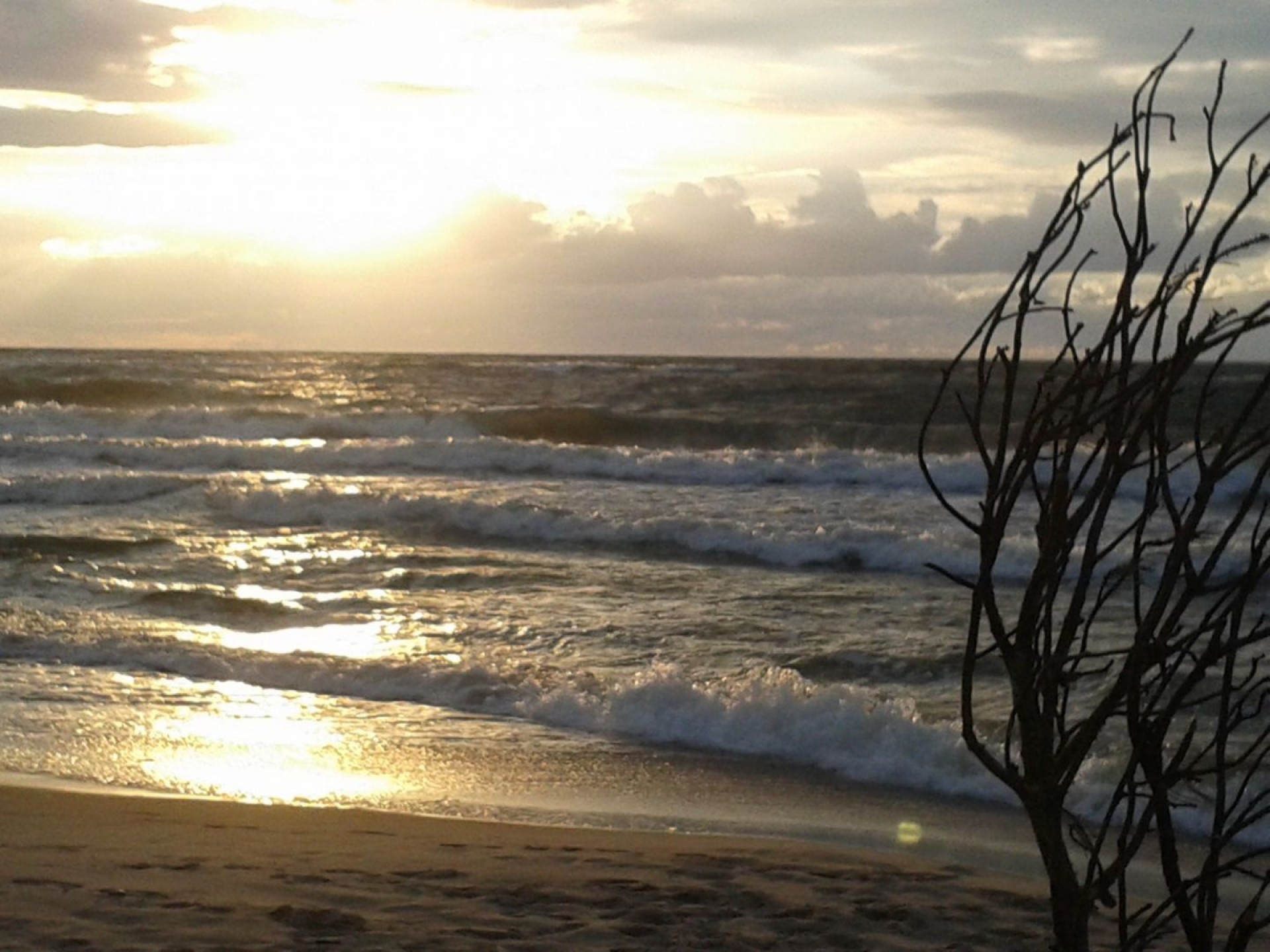 Domki ASTERIX, OBELIX, IDEFIX