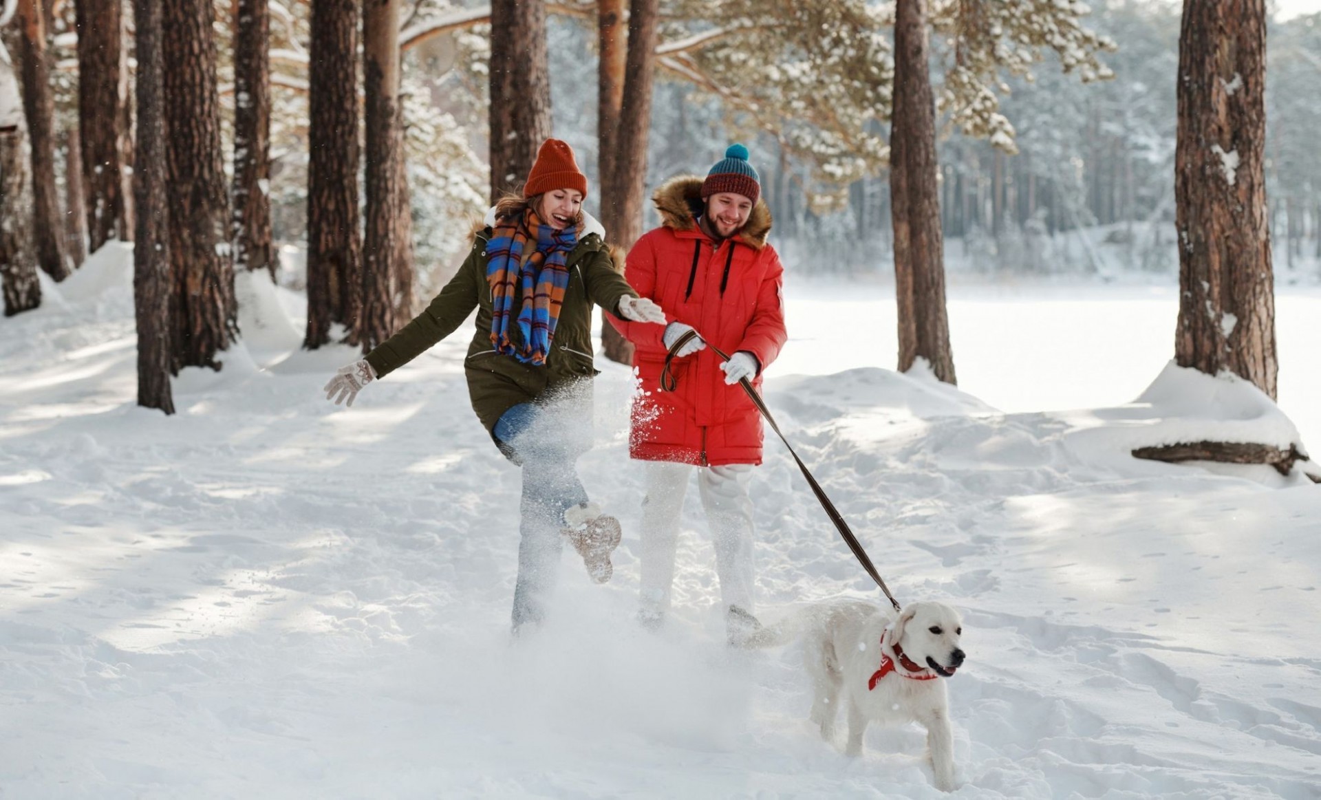 Wczasy z psem - Domki z Bali Nawara-PARK