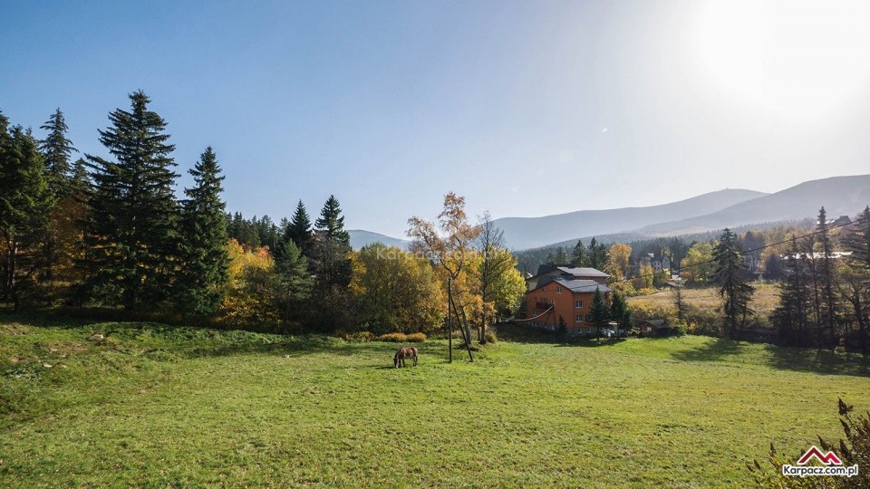 Villa JASMIN