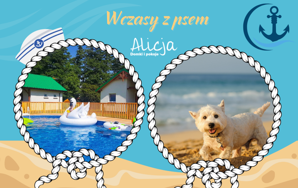 Wczasy z psem - Domki i Pokoje ALICJA