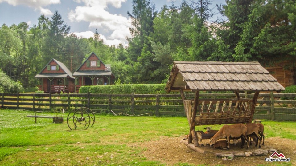 Domki AGRO RANCHO