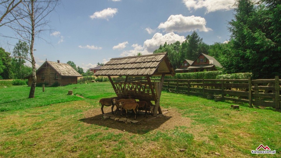 Domki AGRO RANCHO
