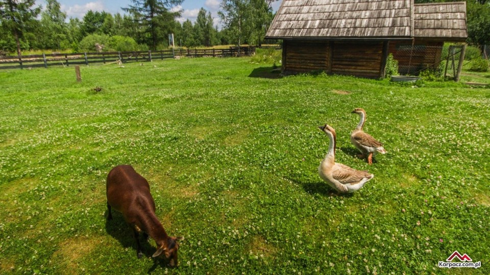 Domki AGRO RANCHO