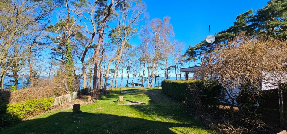 Wczasy z psem - AMIDA Domy do wynajęcia