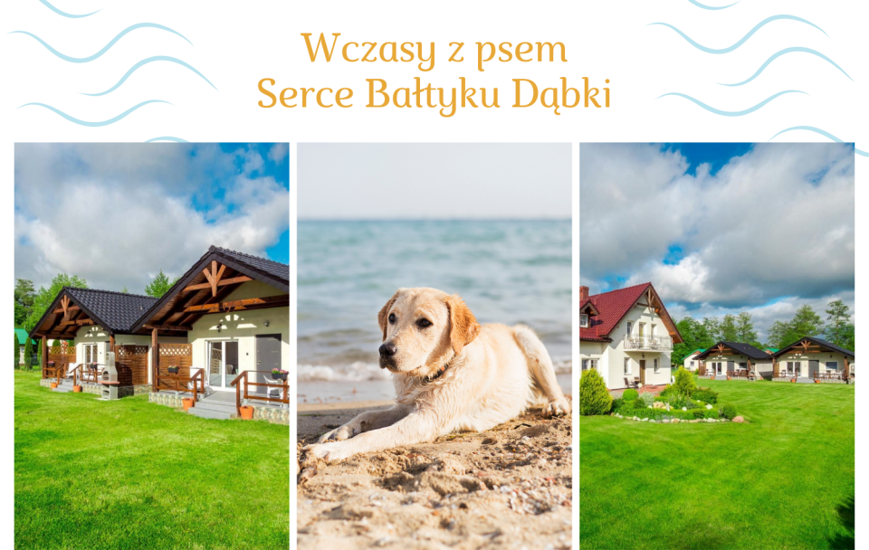 Wczasy z psem - SERCE BAŁTYKU domki i pokoje