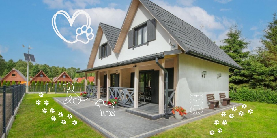 Wczasy z psem - Domki POD SOSNAMI