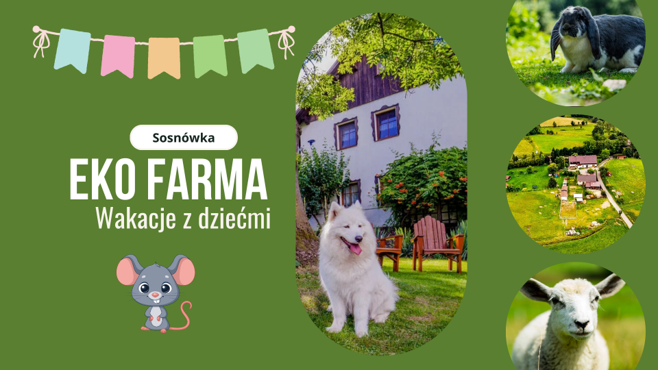 Wczasy z dziećmi - EKOFARMA Sosnówka