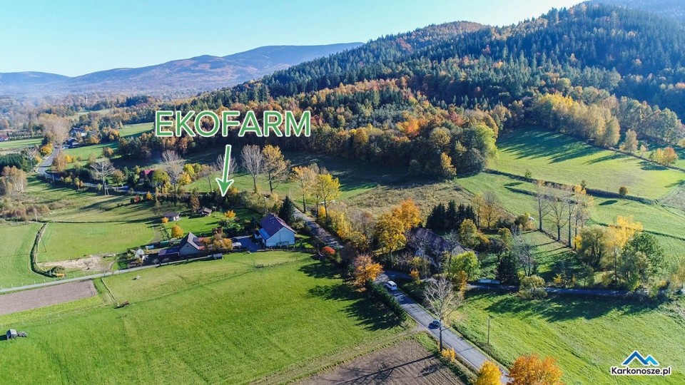 Gospodarstwo agroturystyczne EKO-FARMA