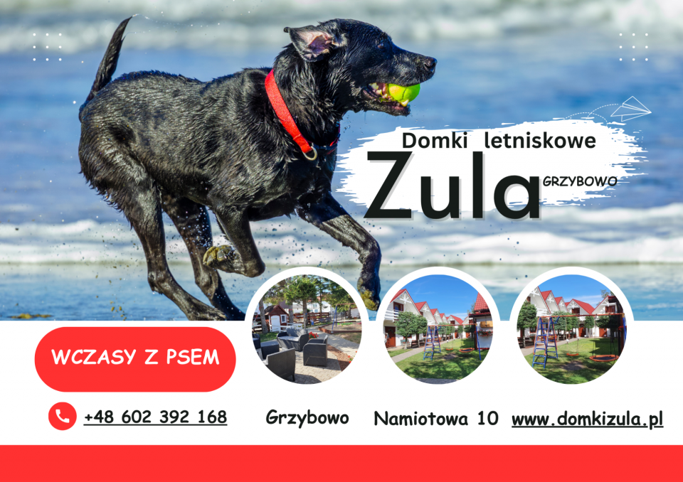 Wczasy z psem - Domki Letniskowe ZULA