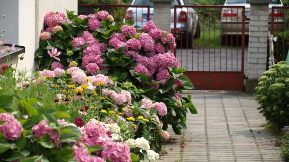 Apartamenty i Domki PRZY PLAŻY