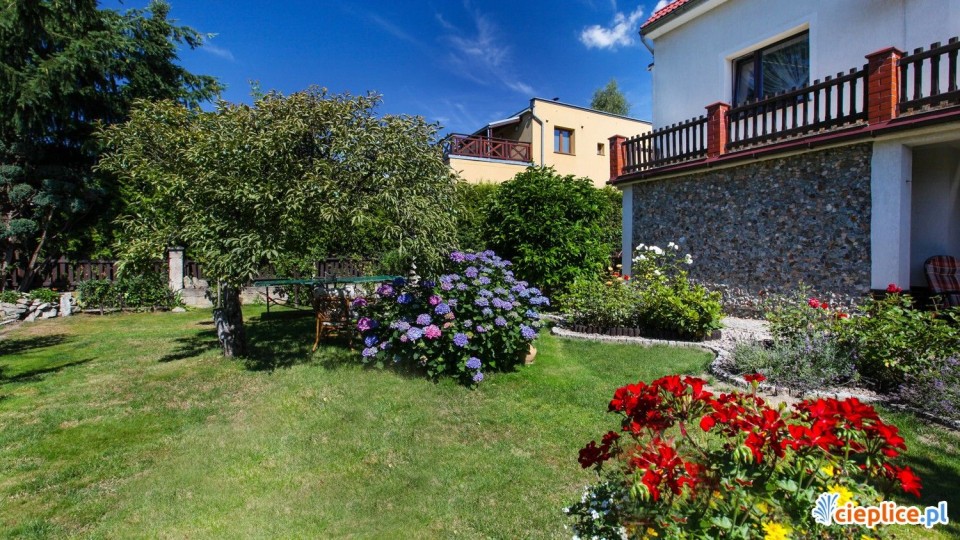 Pokoje i apartamenty MAGNOLIA