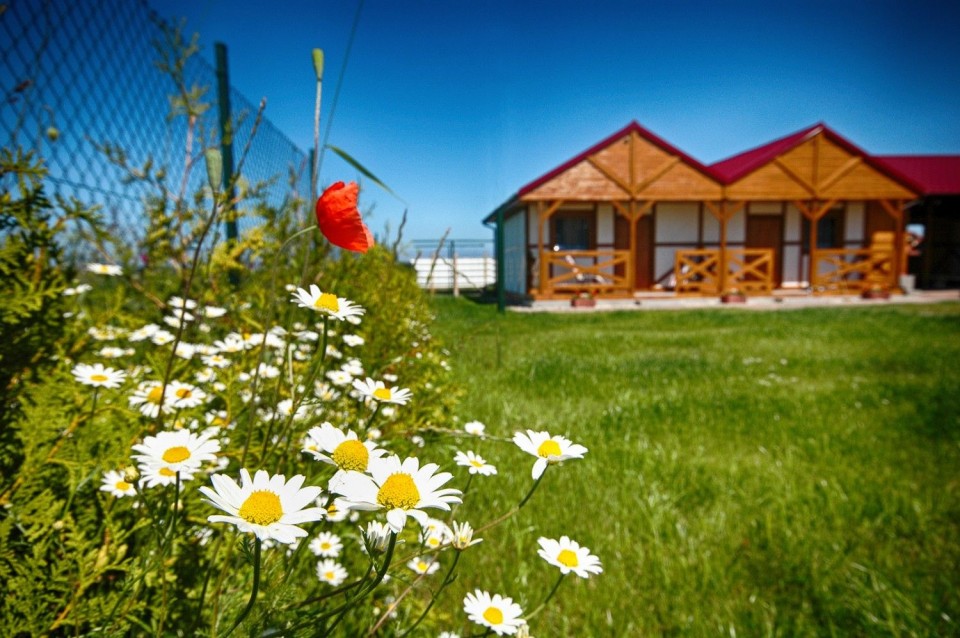Witkowscy Domki i Pokoje Studio