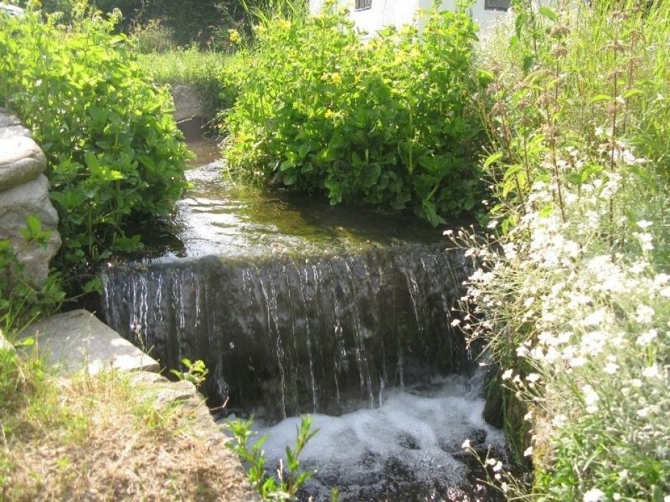 Domki NAD ROZKOSZNYM STAWEM