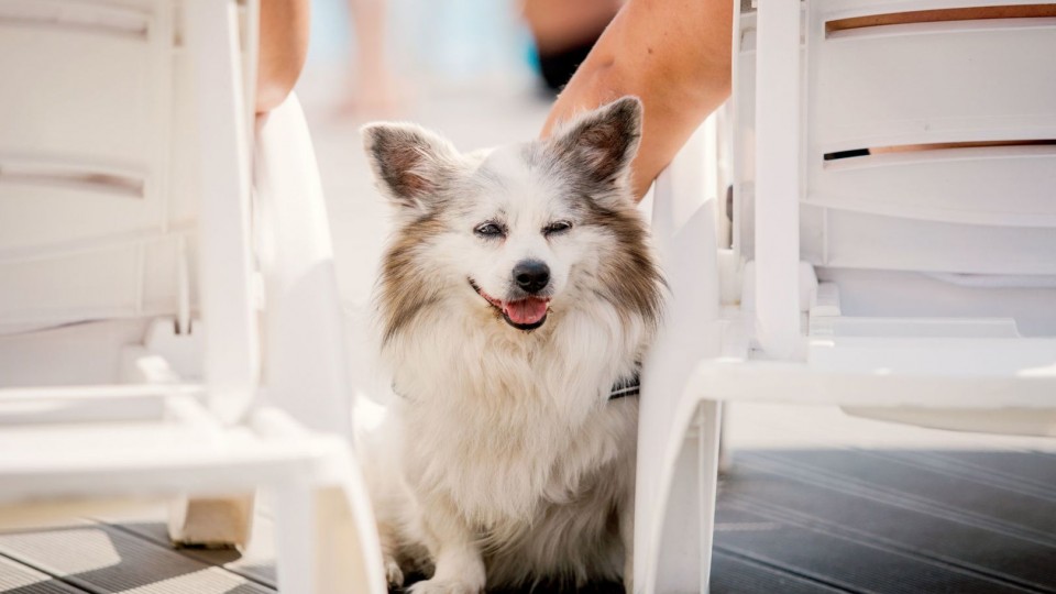 HOLIDAY PARK & RESORT