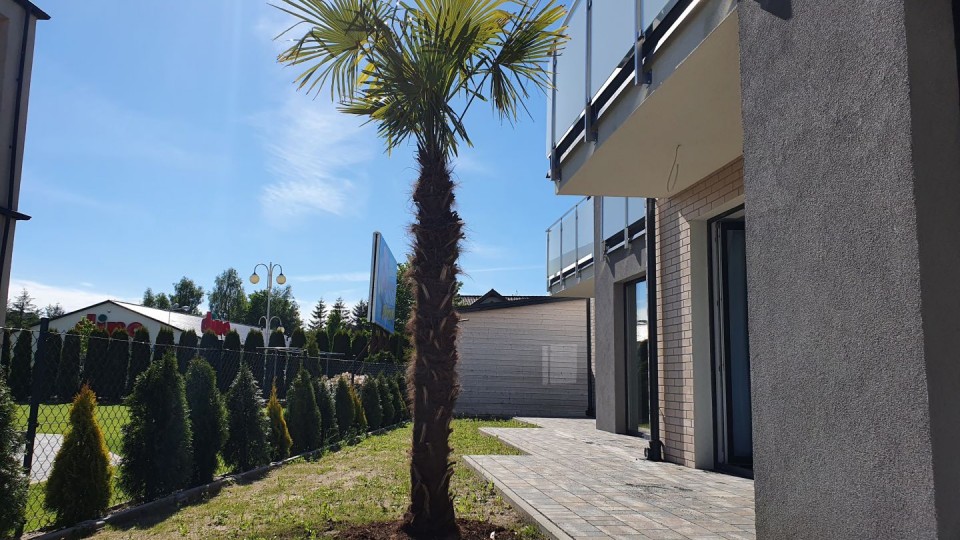 Apartamenty MIESZKO