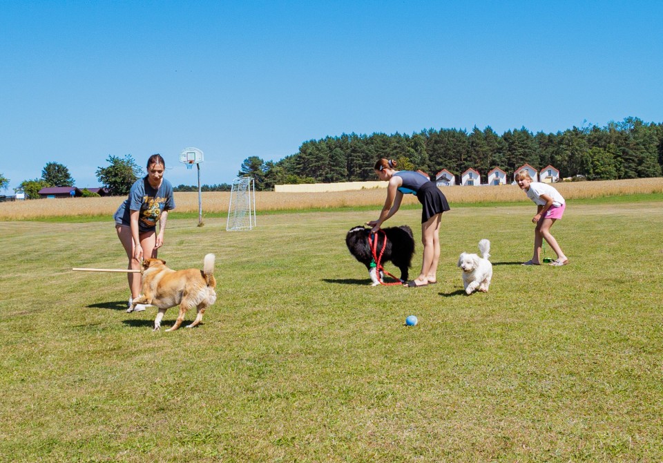 Wczasy z psem - Jastrzębi Las - Ośrodek Wypoczynkowy