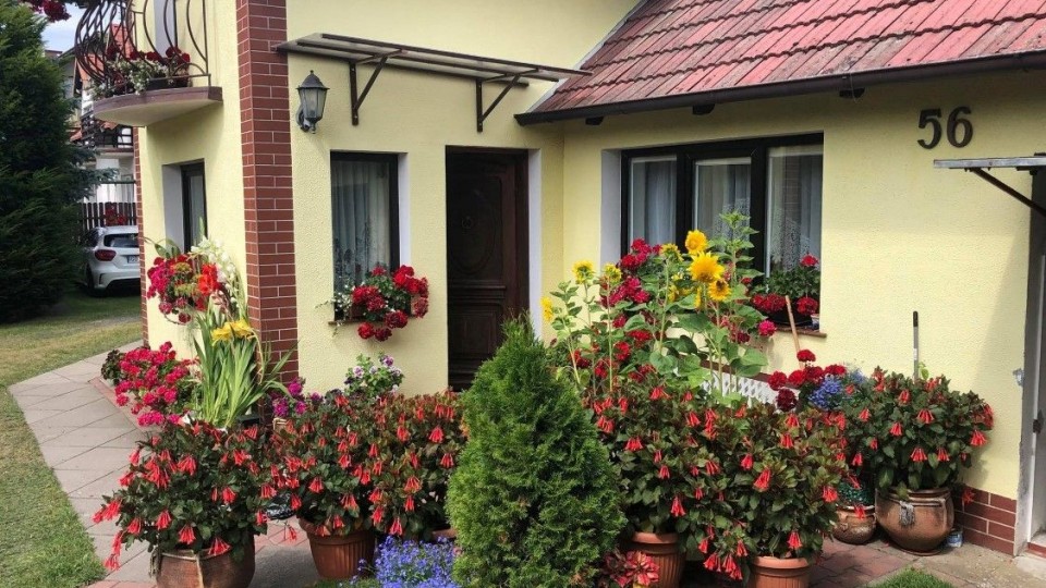 Całoroczne domki i apartamenty PROMYK EDENU