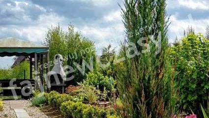 Apartament i Domek U JULII