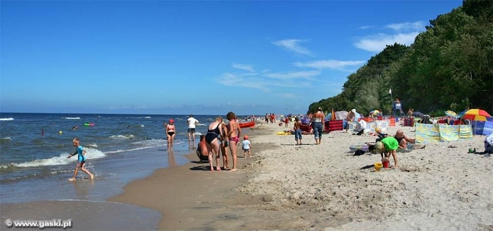 Pokoje ZIELONY ZAKĄTEK