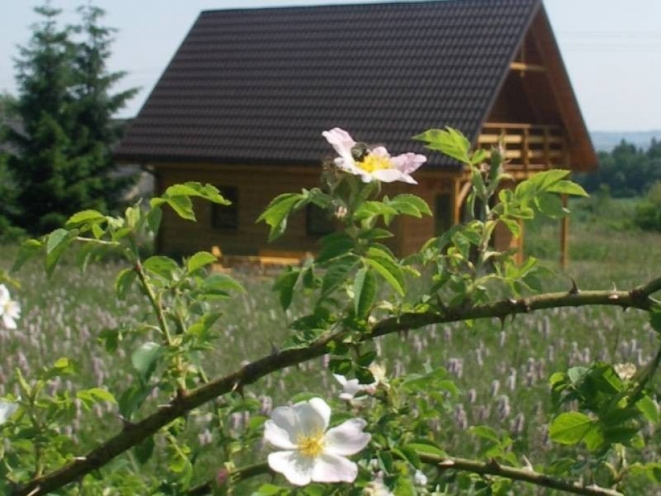 Michałkowa Chatka