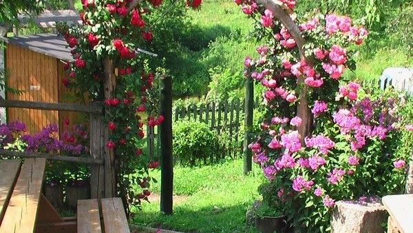 Agroturystyka NAD STAWEM