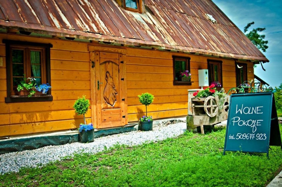WILCZA GAJÓWKA