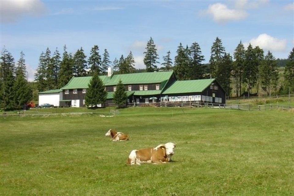LESNI BOUDA