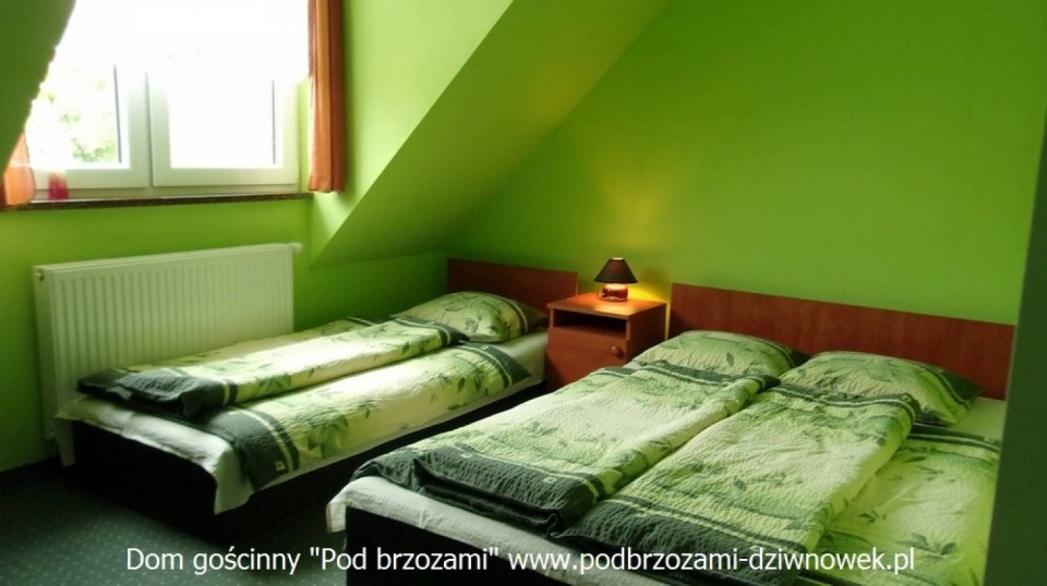 Dom gościnny POD BRZOZAMI