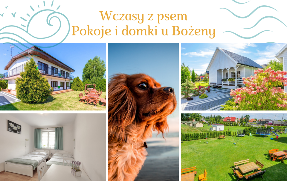 Wczasy z psem - Pokoje i Domki U BOŻENY