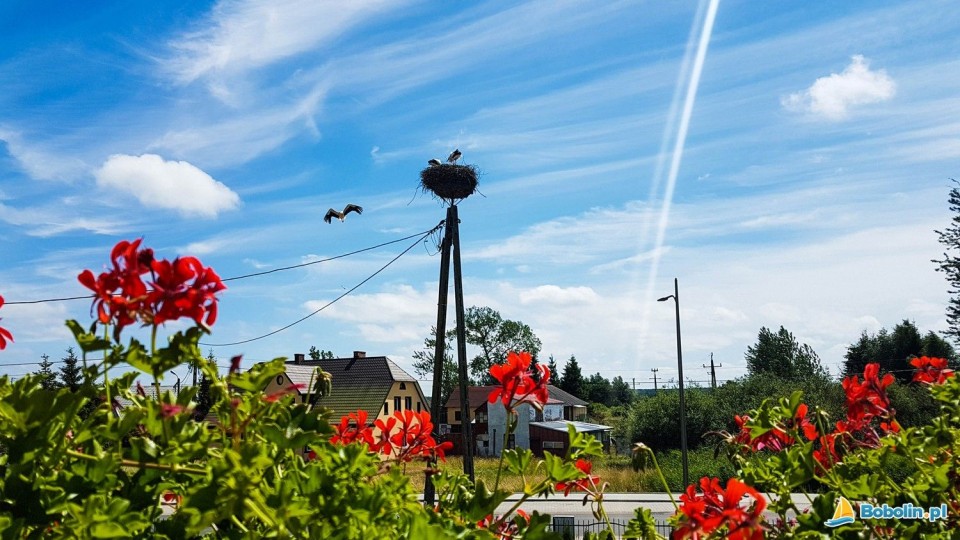 Pokoje U BOŻENY